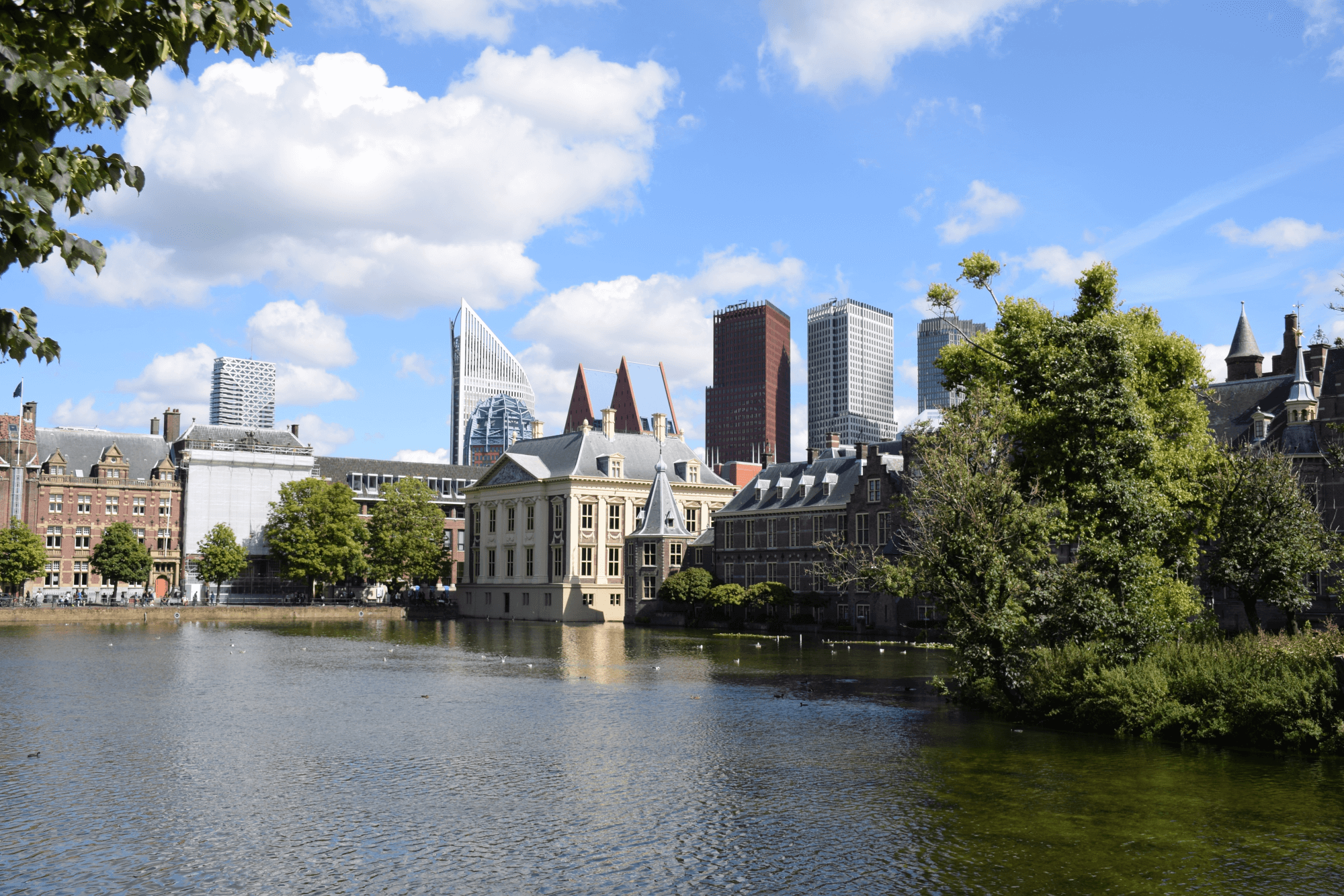 Gemeente Den Haag en Passionned werken samen aan BI