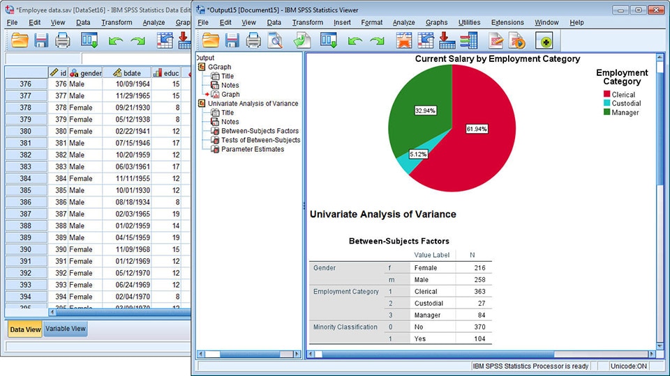 Afbeelding van IBM SPSS Statistics tools.