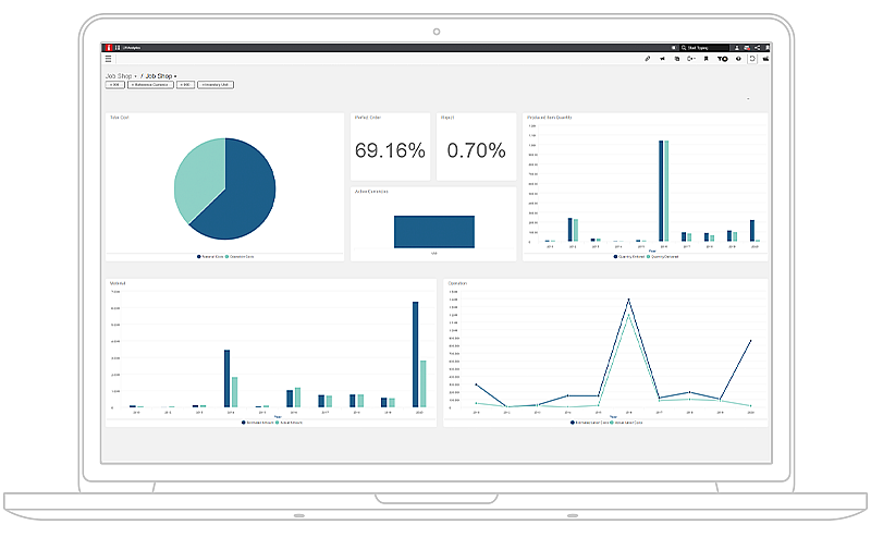 Afbeelding van Infor Business Analytics tools.