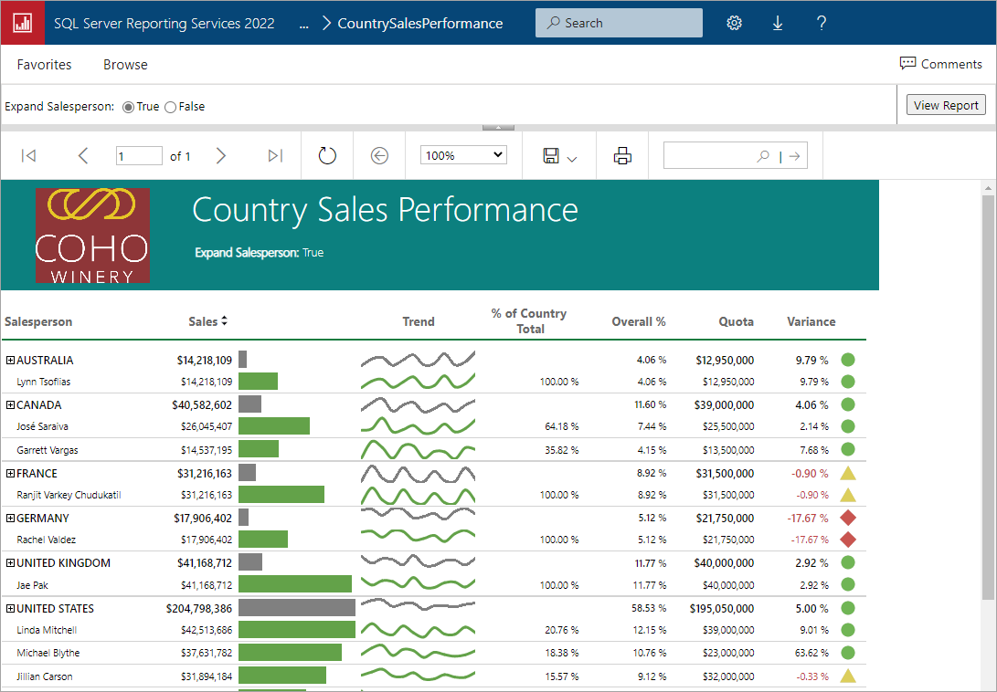 Screenshot van SQL Server Reporting Services software.