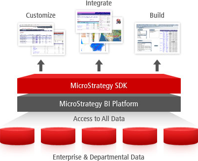Screenshot van MicroStrategy ONE software.