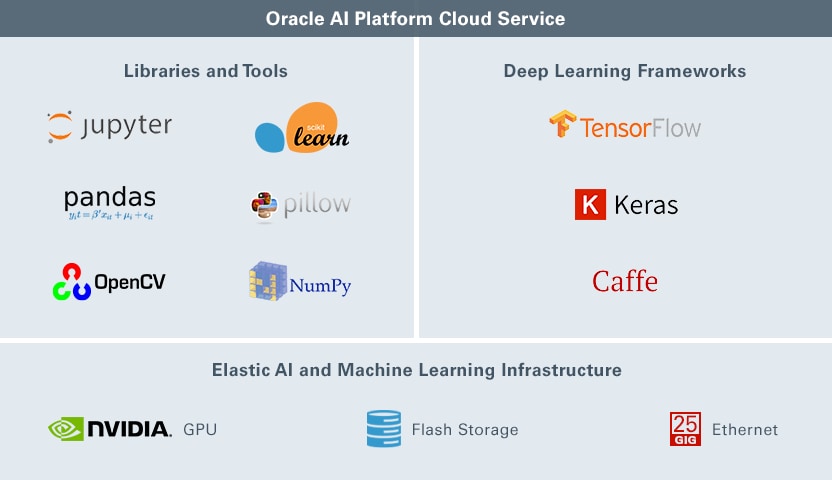 Screenshot van Oracle AI Platform software.