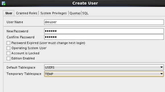 Schema van Oracle Data Miner.