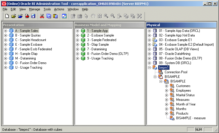Screenshot van Essbase Studio software.
