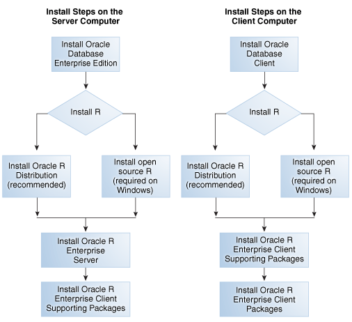 Screenshot van Oracle R Enterprise software.
