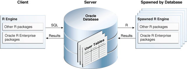 Afbeelding van Oracle R Enterprise tools.