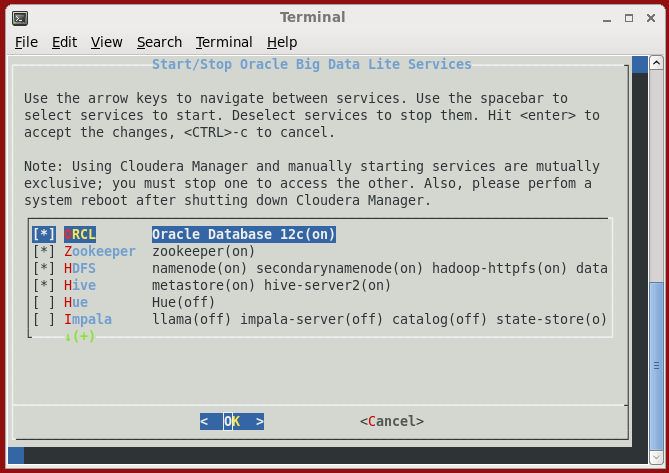 Afbeelding van Oracle Data Integration tools.
