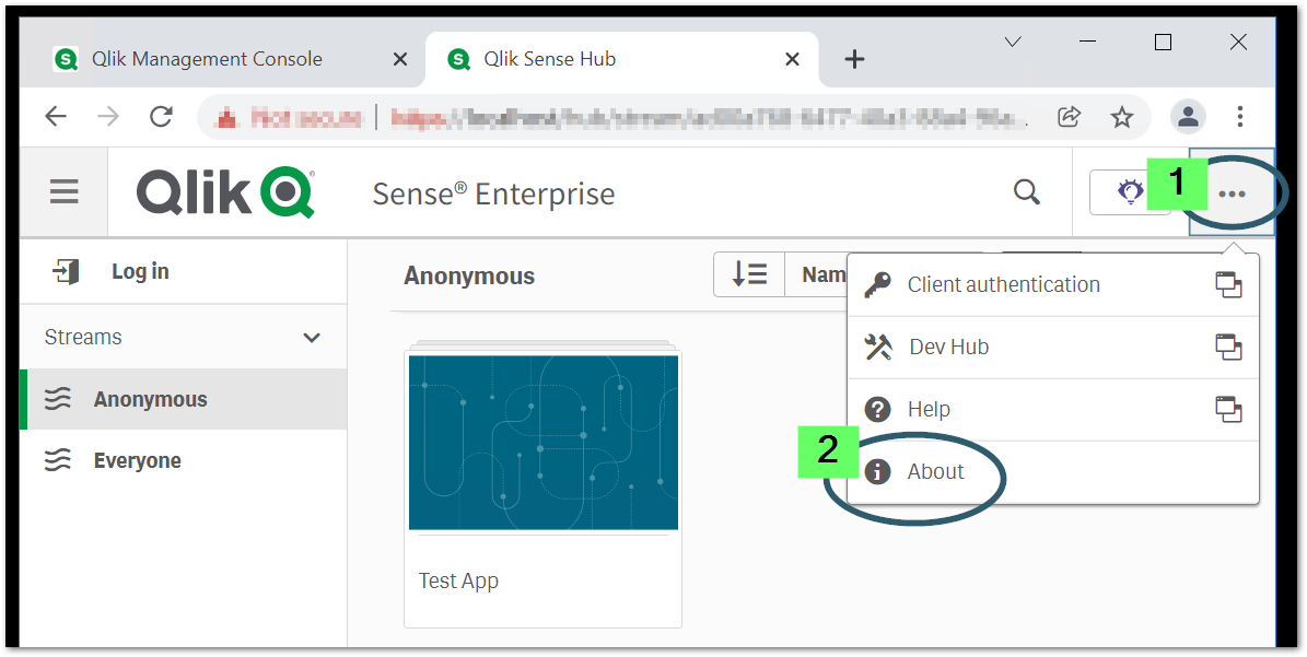Screenshot van Qlik Sense Enterprise software.