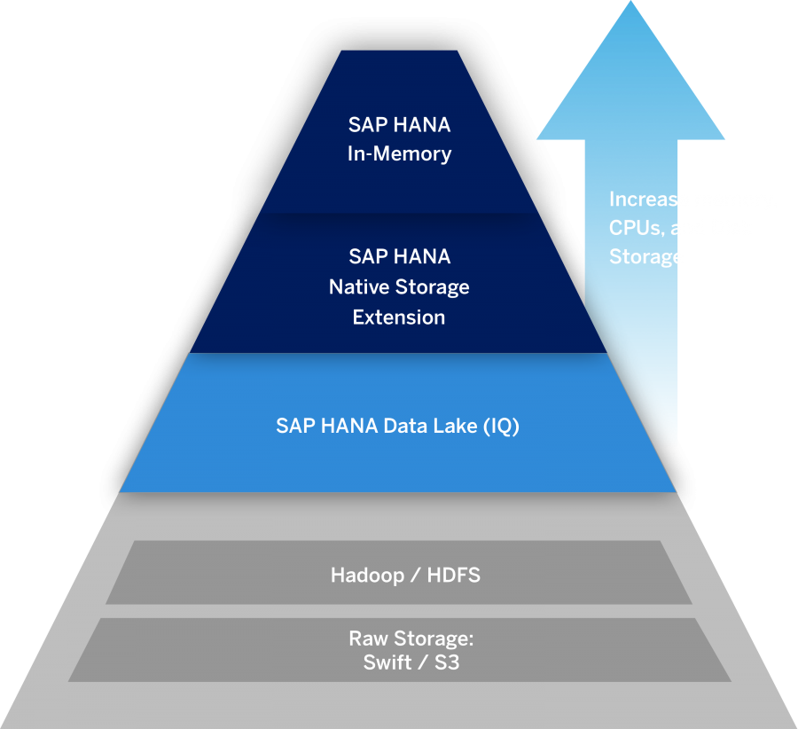 Schema van SAP Big Data.