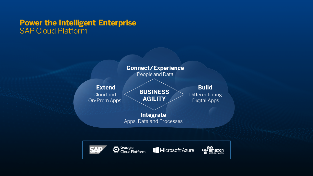 Schema van SAP Cloud Platform.