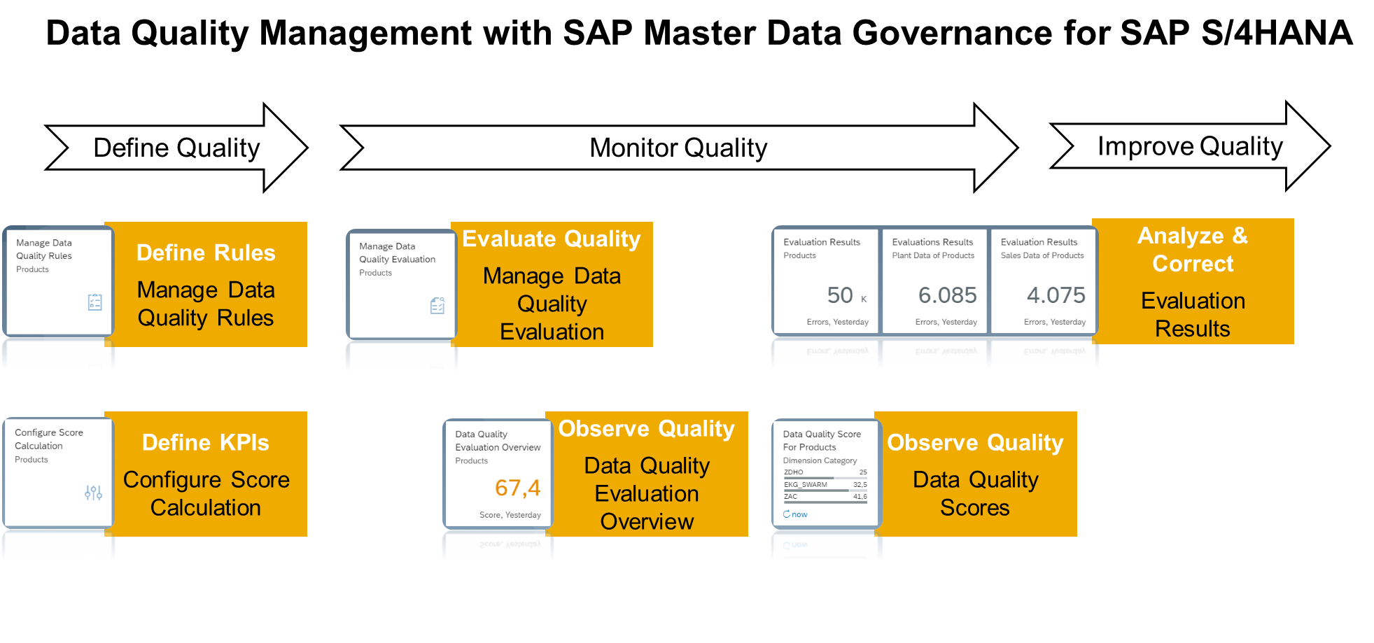 Schema van SAP Data Quality Management.