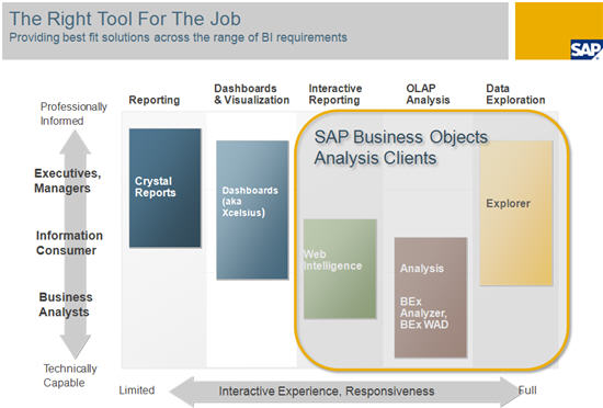 Screenshot van SAP BusinessObjects Analysis software.