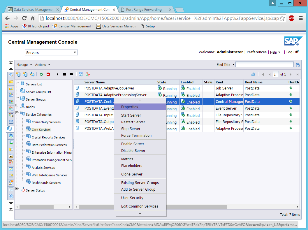 Schema van SAP BusinessObjects Data Services.