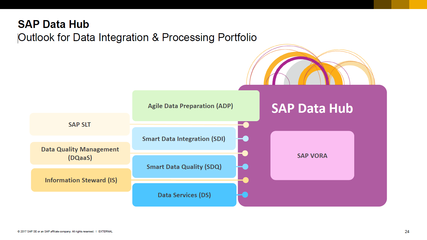 Schema van SAP Data Management.