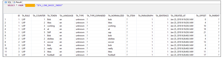 Screenshot van SAP HANA Text Analytics software.