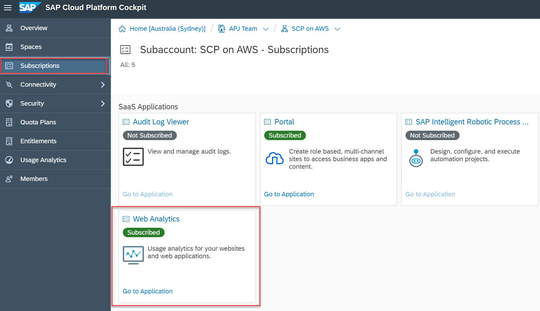 Screenshot van SAP Web Analytics software.