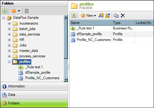 Screenshot van Dataflux Data Management Server software.