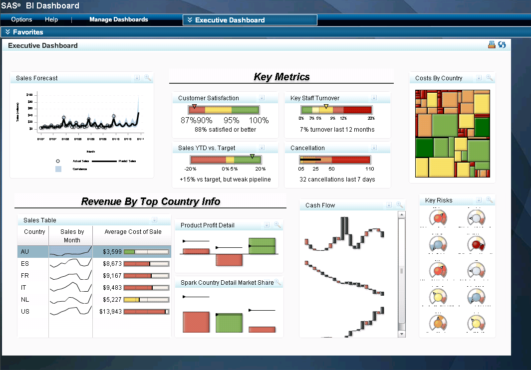 Screenshot van SAS BI Dashboard software.
