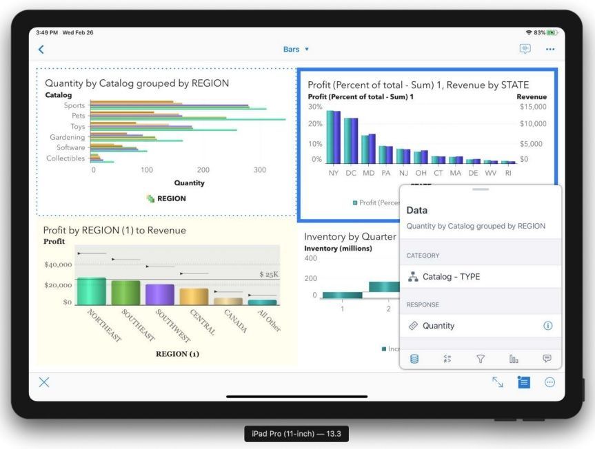Screenshot van SAS Visual Analytics App software.