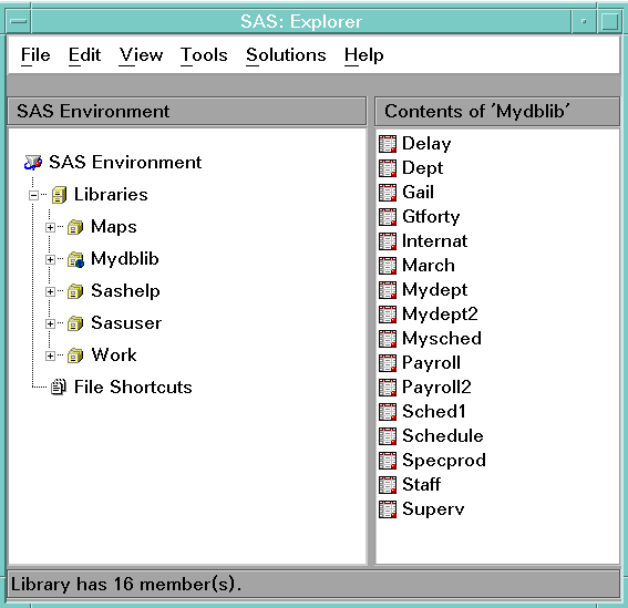 Screenshot van SAS/ACCESS software.