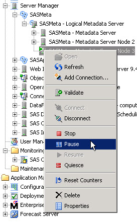 Screenshot van SAS Metadata Server software.